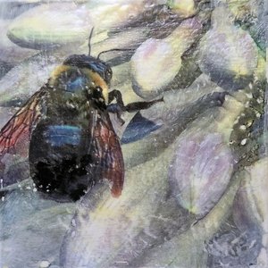 Buzy Morning by Melissa Valenti