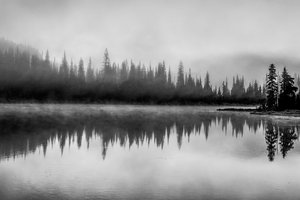 Dave Oakes — portfolio