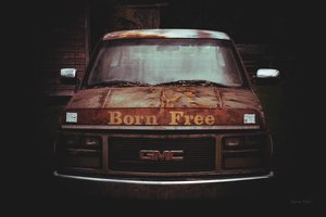 Born Free by Karina Vinbor (2026)