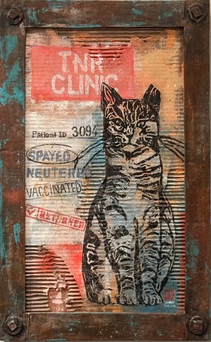 Unclaimed: Patient 3094 by Heather Salvador (2026)