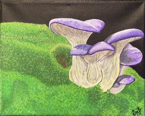 Mossy Mushroom Glow by Stephanie Brown (2024)