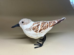 IMG 1574/Sanderling by Nancy Overton (2026)