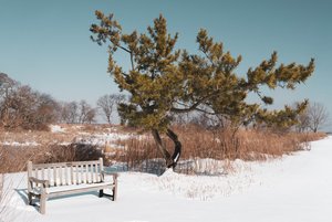 Between Frost and Light by Edit Karacsony (2026)