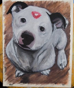 Pet Portrait by KRISTA O'HALPIN