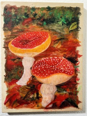 Mushrooms by KRISTA O'HALPIN