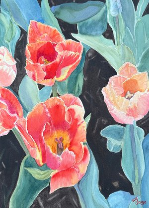 Lynn Fargo — portfolio