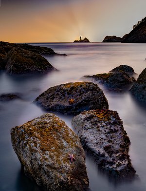 Griffs Cove 2021 by Ken Johnston