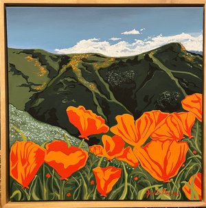 Poppies in the Canyon by Julie Drane (2026)