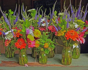 Flowers for sale by steven tapper (2024)