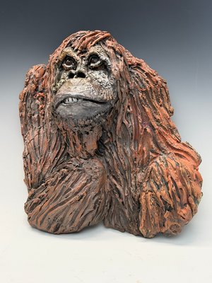 Portrait of an Orangutan by Peggy Albers