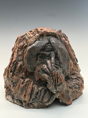 On the Verge of Extinction by Peggy Albers