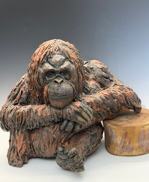 Orangutan Resting on One Arm by Peggy Albers