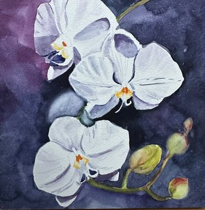 Jeanne Anderson