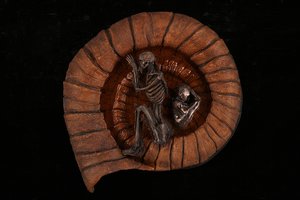 Spiral of time by Jun Yan