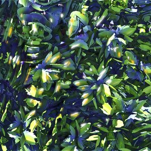 Fractal Foliage by Jeff Weiss (2026)
