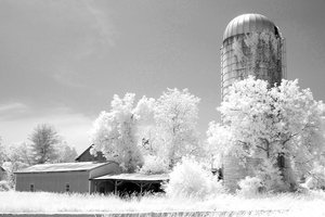 Maureen Gates — portfolio