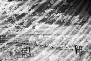 A Big Storm Is Happening by Maureen Gates 200dpi by Maureen Gates