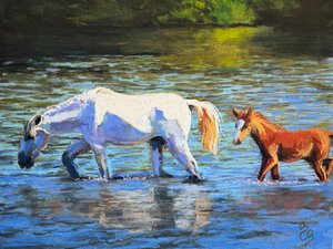 Beverly Carlson-Bradshaw