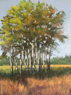 In Living Color by Beverly Carlson-Bradshaw