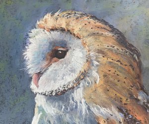 Eye on the Prize by Beverly Carlson-Bradshaw