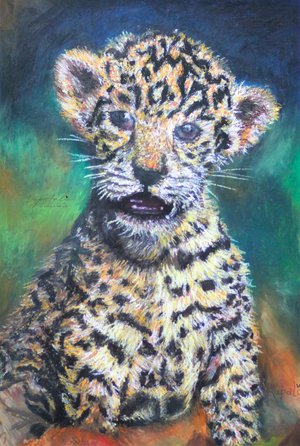 The cute one by rupali kumbhani (2025)