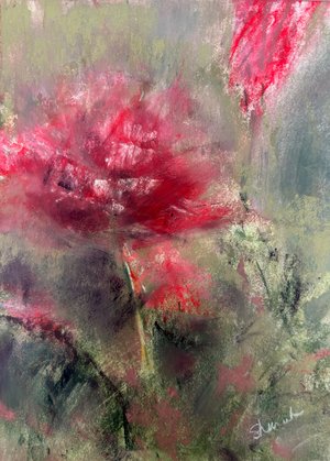 Gentle Bloom by Marie Shanahan (2025)