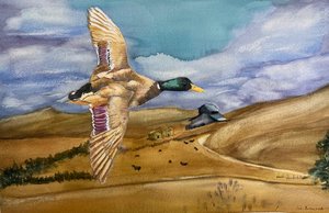 A Bird's Eye View by Robert Norwood (2025)