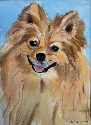 Pomeranian by Robert Norwood (2025)