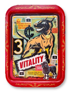 Vitals by Donna Reynolds (2025)