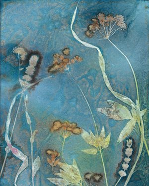 Catherine Tully