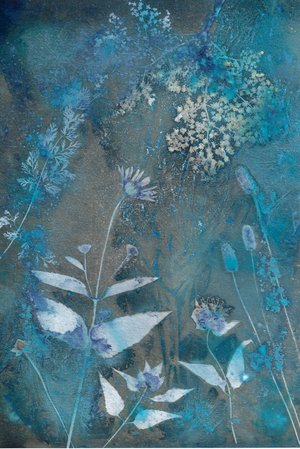 Drawn to Light by Catherine Tully (2026)