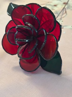 rose by Barbara Konschak (2026)