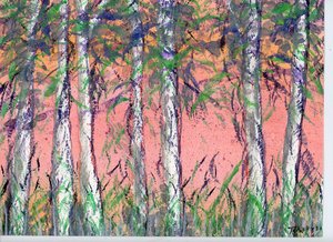 Pastel Birch by Tara Williams (2024)