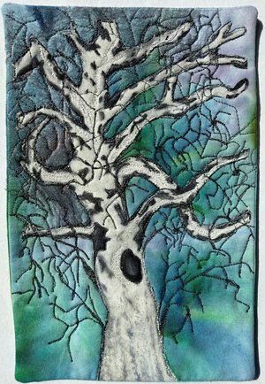 Stunning Sycamore by cara christensen (2026)
