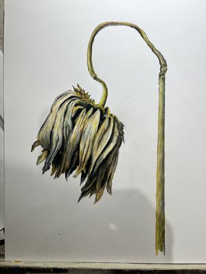 flower#2 by gary burch (2025)