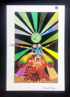 Expanded Perception: Peacock Mantis Shrimp by Daniel Tajes (2026)