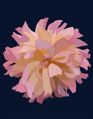 Pink dahlia by Kimberly Chan