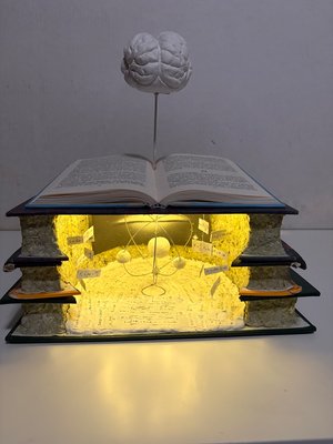 Modified Book Project by Chenoa Marks (2025)