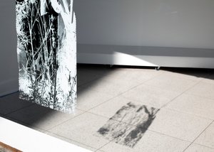 Waist Deep Grasses (1) by Alex Cassetti