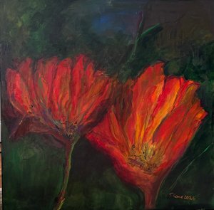 Flores de Gabon by Toby Cone (2026)
