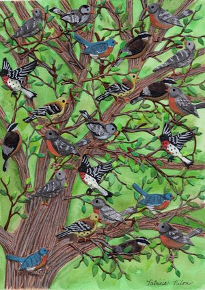PPilonBirdsTogether20260312 by Patricia Pilon (2026)