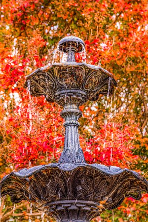 Autumn’s palette  by Lisa Watkins