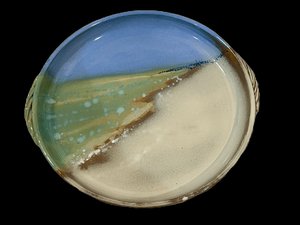 beach platter by Tim Robison