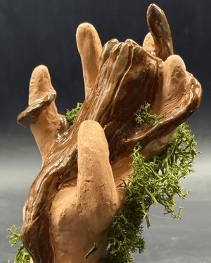 Erosion of Identity  by Patricia Norton