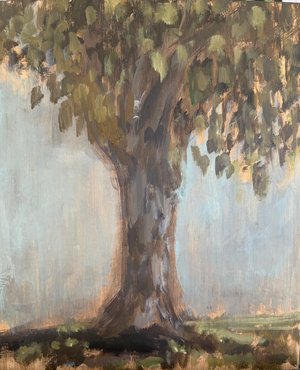 Backyard Beech Tree by Claudia Doherty