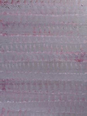 DNA & BUMPS FROM KILLING BUTTERFLIES AT A QUARTER TO 4 AM by ARVID CHOUDHURY (2026)