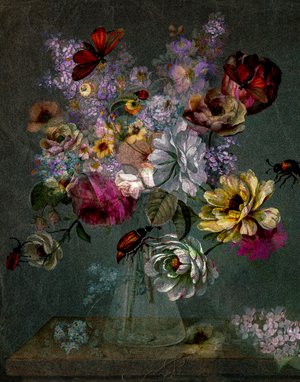 Angels and Insects by Lissy Walker (2024)