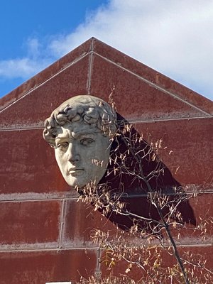 Myra Kreiman Kijek