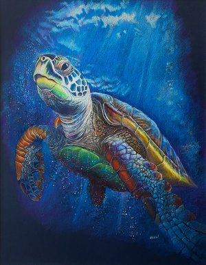 joeaiken BeautyUnderTheSea by joe aiken (2026)