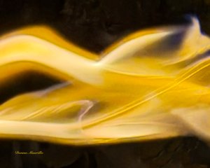 Ambiguities  by Donna Maurillo